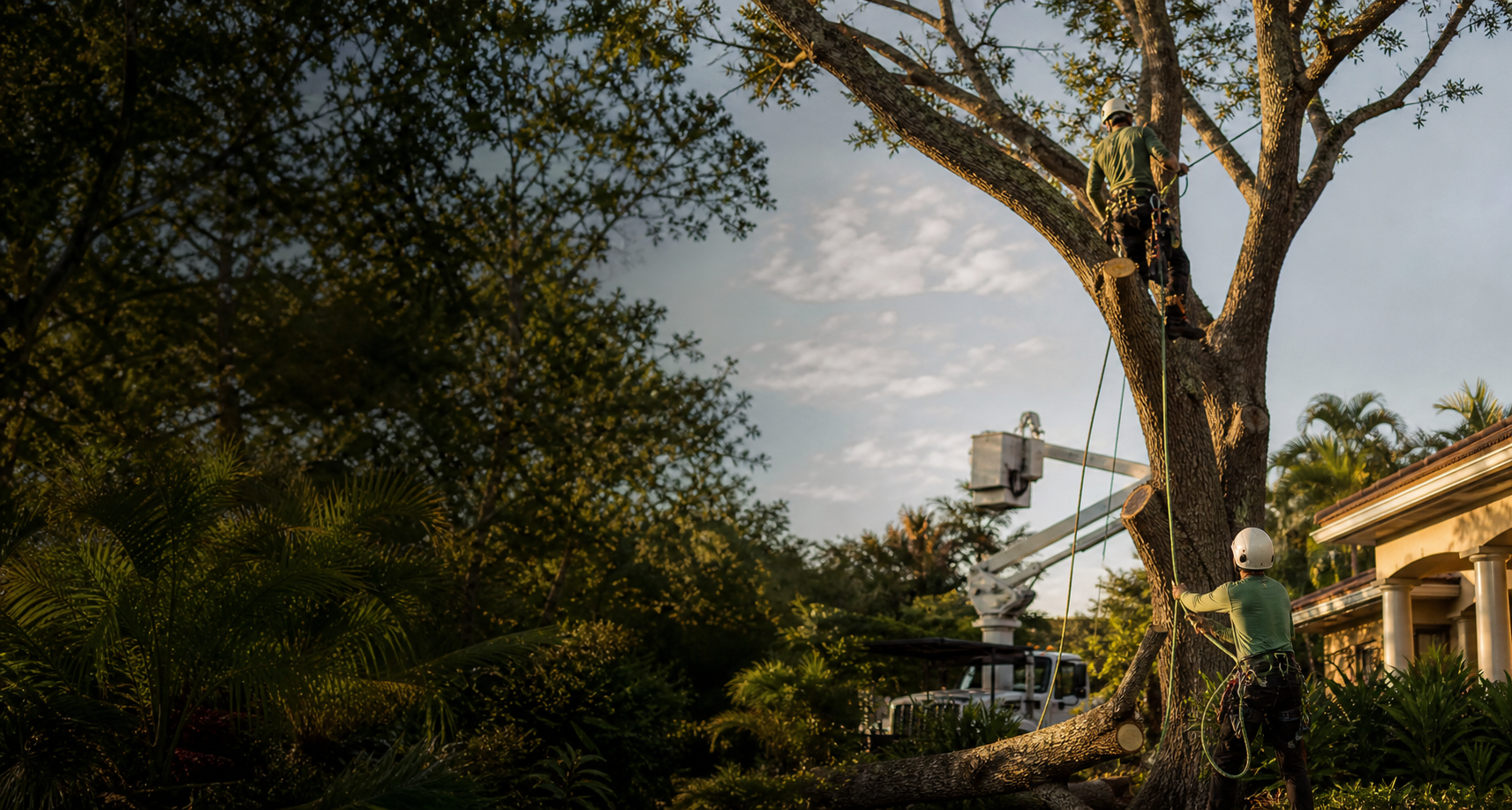 Tree service crew working at a residential property