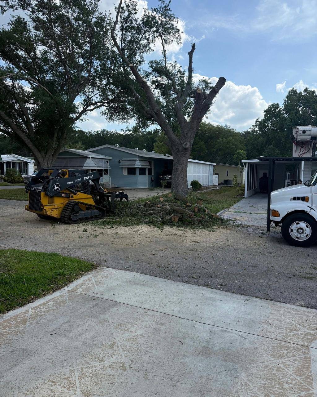 Residential yard cleanup