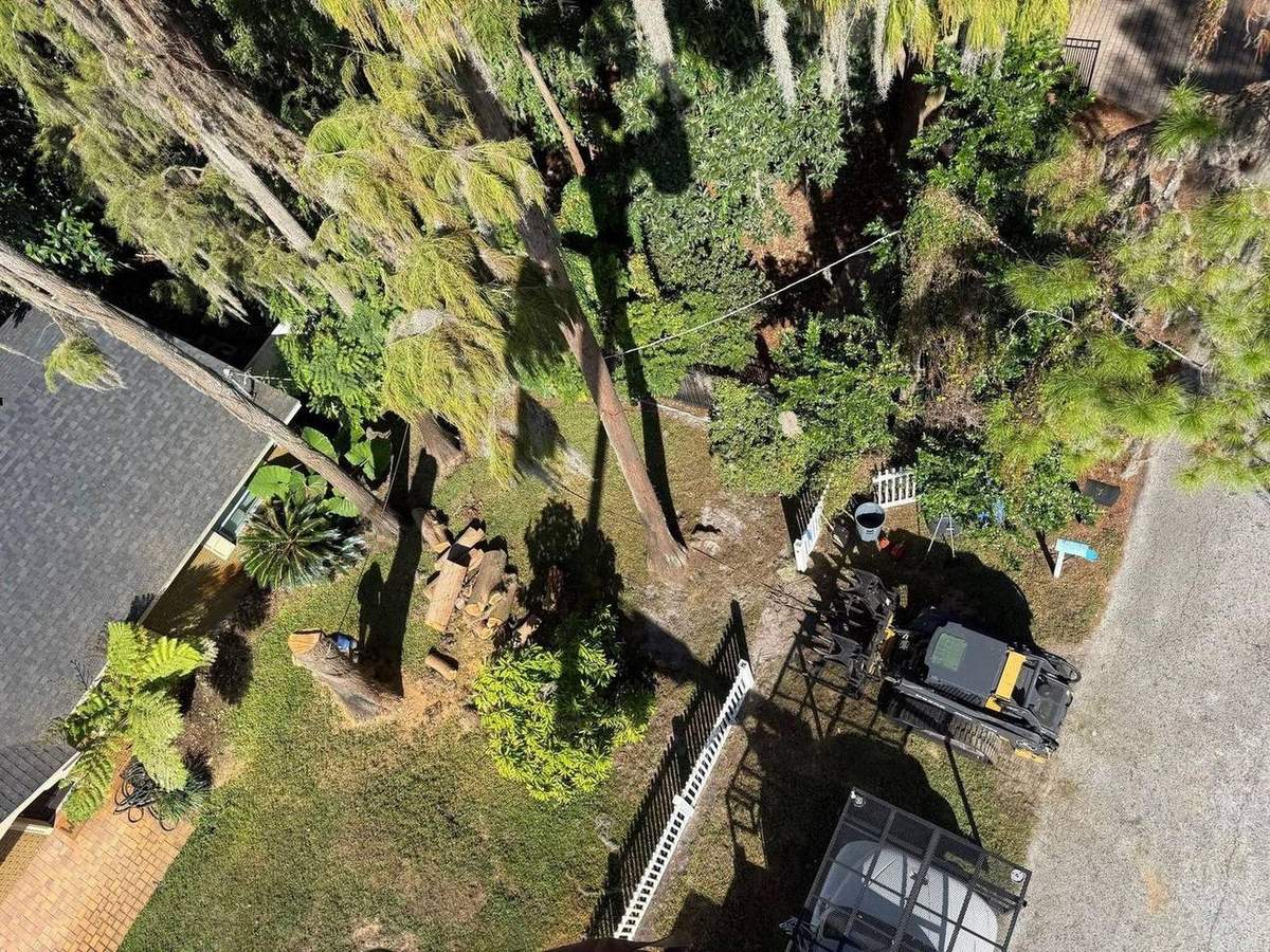 Waterfront tree work