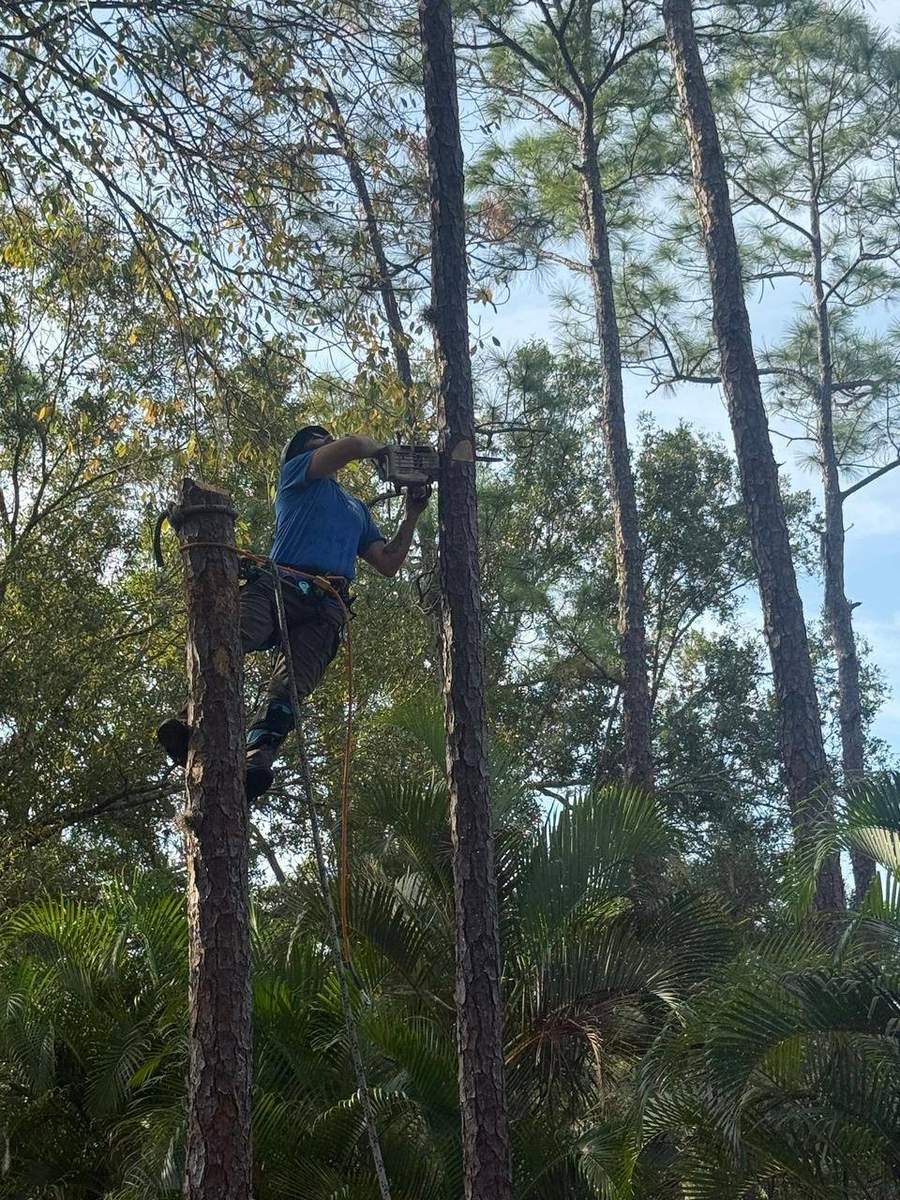 {{business_name}} crew on a residential tree care job